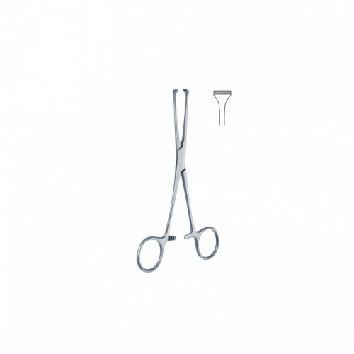 PINZA ALLIS ATRAUMATICA S/DENTI 20 cm