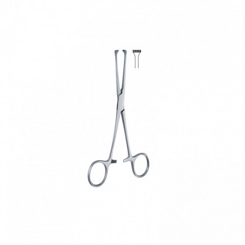 PINZA ALLIS 5X6 DENTI 15 cm