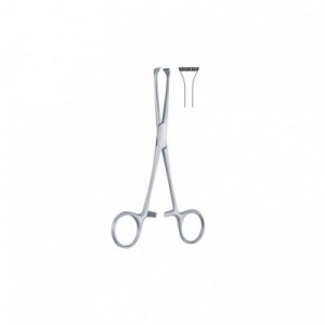 PINZA INTESTINALE E PER...