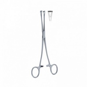 PINZA INTESTINALE LOCKWOOD...