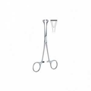 PINZA INTESTINALE BABCOCK...