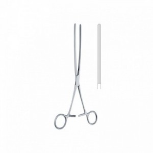 PINZA INTESTINALE...