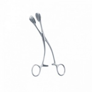 PINZA YOUNG 17 cm