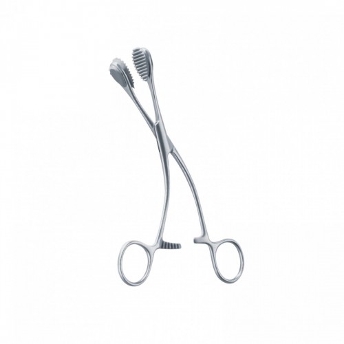 PINZA YOUNG 17 cm