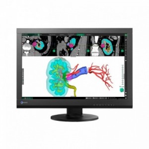 MONITOR EIZO MX242W