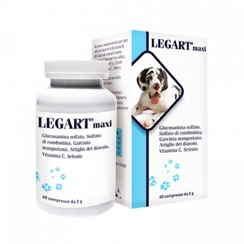 LEGART maxi 60 cpr 2 gr