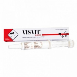 VISVIT pasta 15 gr os siringa