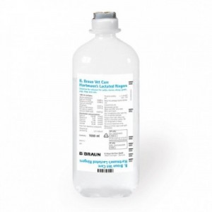 ECOFLAC RINGER LATTATO 1 lt... 2