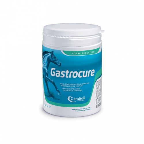 GASTROCURE 2,6 kg equini