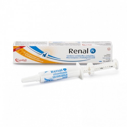 RENAL N 15 ml gatto pasta siringa