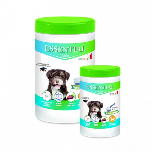 ESSENTIAL 650 gr cane junior
