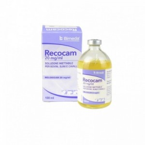 RECOCAM 20 mg/ml 100 ml