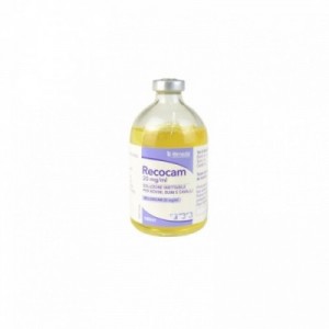 RECOCAM 20 mg/ml 100 ml 2