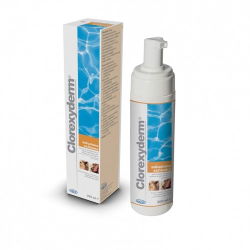 CLOREXY DERM soluzione schiuma 200 ml