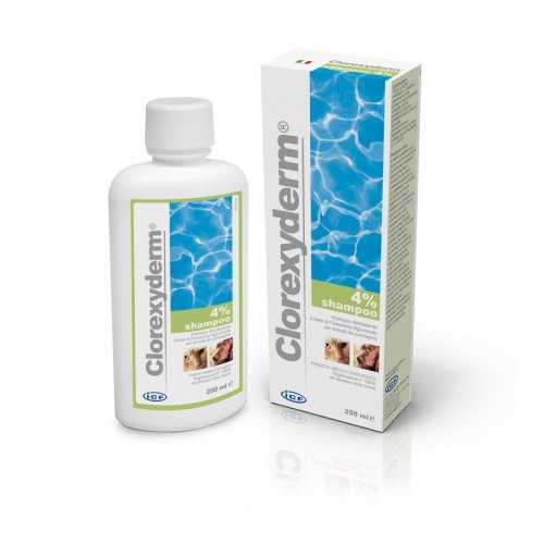 CLOREXY-DERM shampoo 4% 250 ml