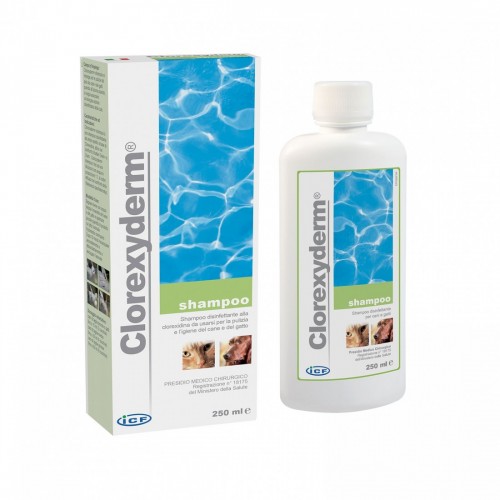 CLOREXY-DERM shampoo 250 ml