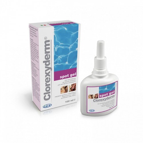 CLOREXY DERM spot gel 100 ml