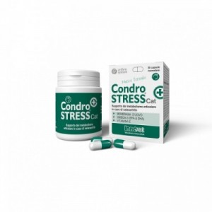 CONDROSTRESS + CAT 30 cpr...