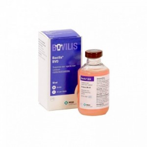 BOVILIS BVD 25 dosi 50 ml