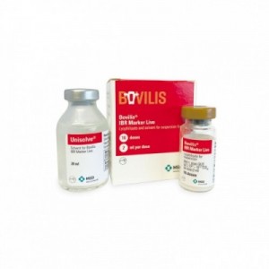 BOVILIS IBR MARKER LIVE 10...