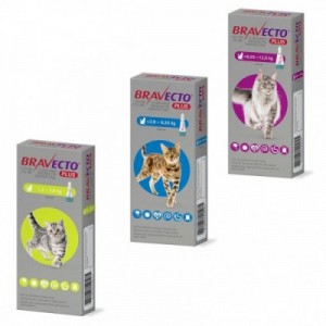 BRAVECTO PLUS gatto L 1... 2