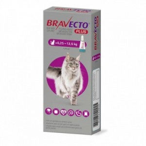 BRAVECTO PLUS gatto L 1...
