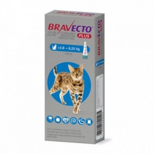 BRAVECTO PLUS gatto M 1...