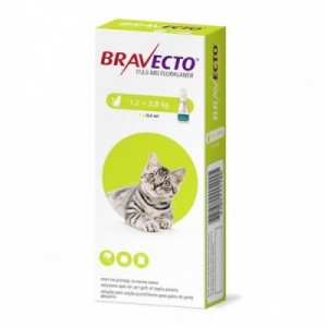BRAVECTO gatto S 1...