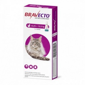 BRAVECTO gatto L 1 pip.500...