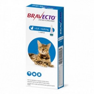 BRAVECTO gatto M 1 pip.250...