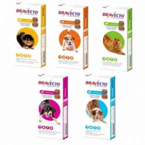 BRAVECTO cane S - 250 mg 2... 2