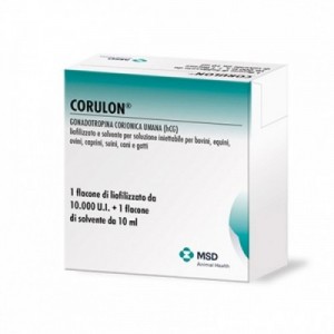 CORULON 1 x 10000 U.I.