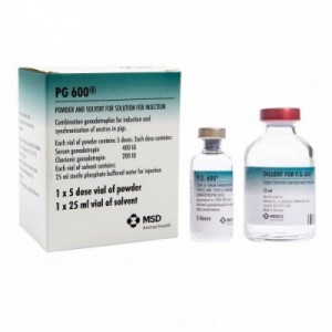P.G.600 1 fiale per 5 dosi