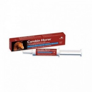 CAROBIN HORSE 100 gr siringa