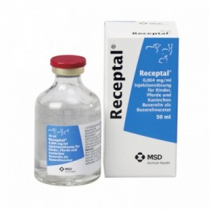 RECEPTAL 50 ml