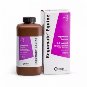 REGUMATE EQUINI 1 lt