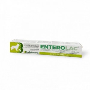ENTEROLAC PASTA 15 gr