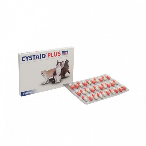 CYSTAYD blister 30 capsule