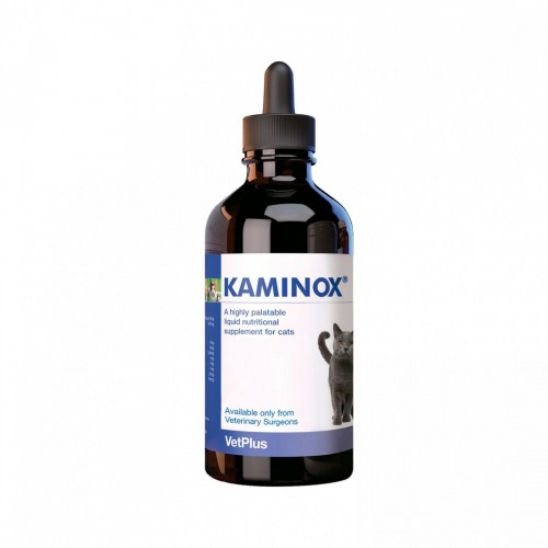 KAMINOX 60 ml