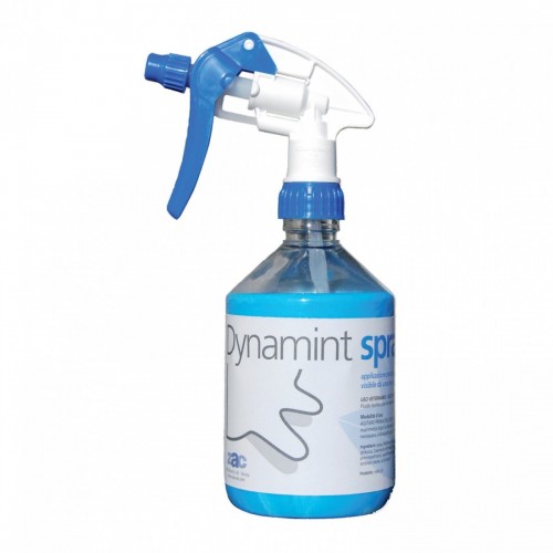 DYNAMINT SPRAY 500 ml