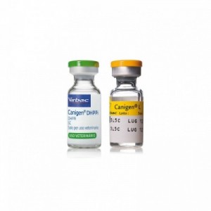 CANIGEN DHPPi / L x 10 dosi