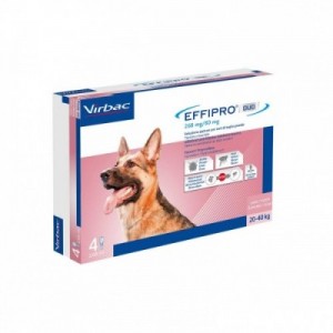 EFFIPRO DUO cane L 4...