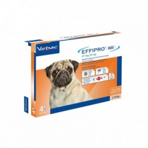 EFFIPRO DUO cane S 4...