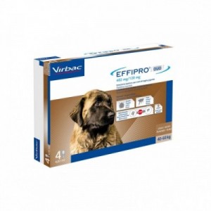 EFFIPRO DUO cane XL 4...