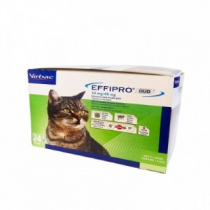 EFFIPRO DUO gatto 24 pipette