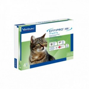 EFFIPRO DUO gatto 4 pipette