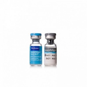 LEUCOFELIGEN FELV/RCP 10...