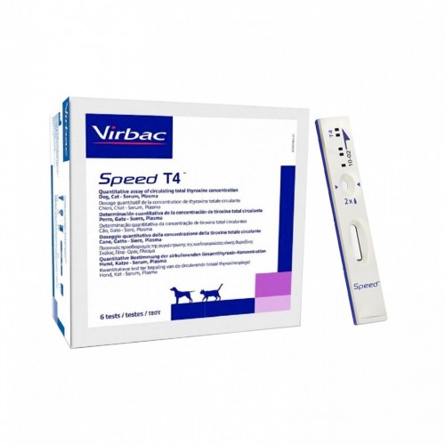 SPEED T4 6 test
