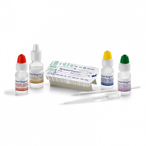 SPEED BIOGRAM 5 test