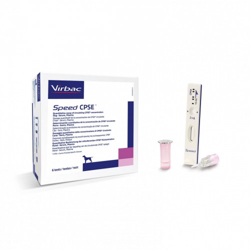 SPEED CPSE 6 test